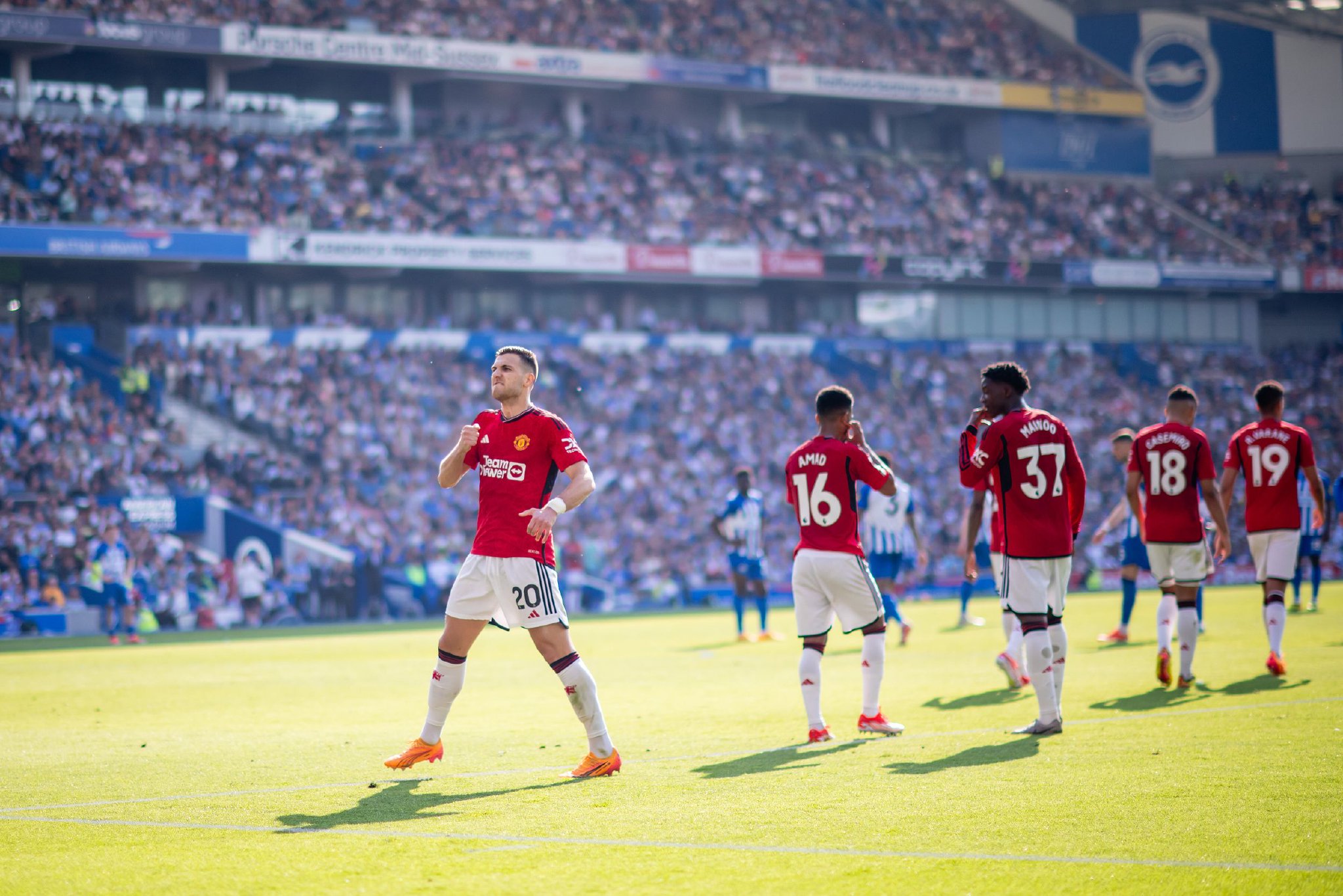 在亚沙里加 在亚沙里加